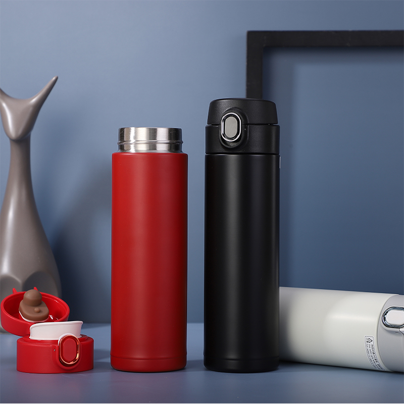 Stainless Steel Thermo Bottle